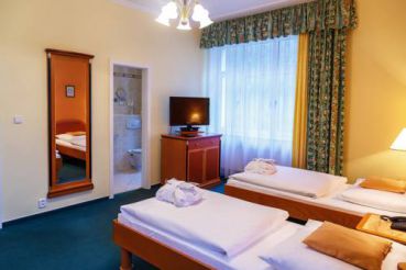 Superior Double or Twin Room