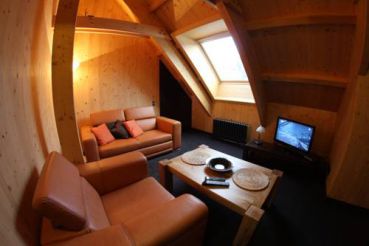 One-Bedroom Apartment - Attic