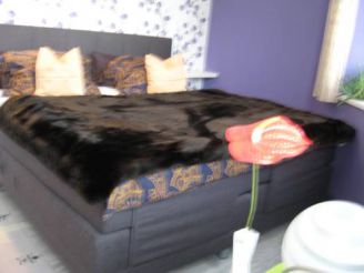 Superior Family Suite